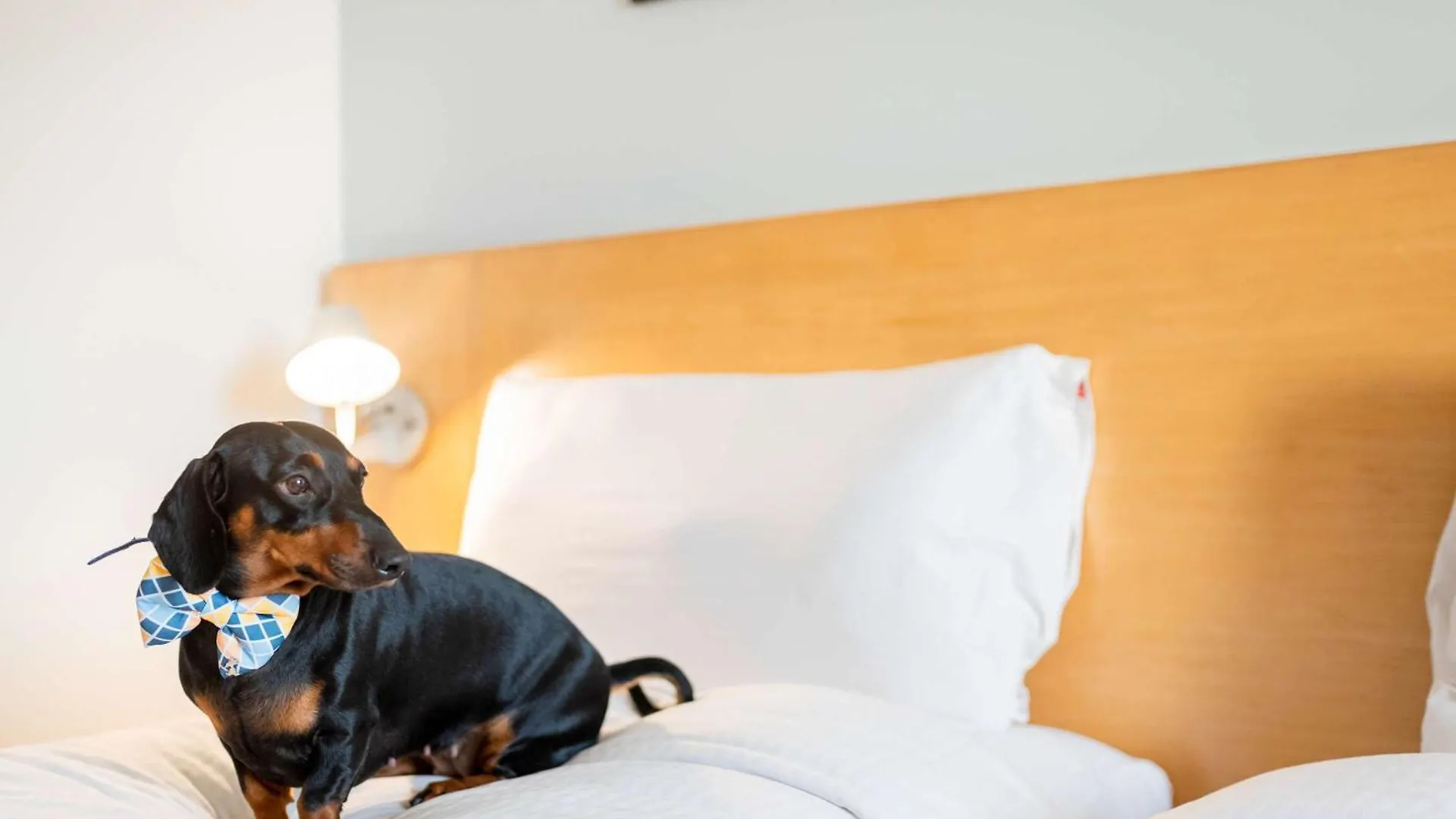 Ibis Stuttgart Airport Messe Hotel Leinfelden-Echterdingen 2*,